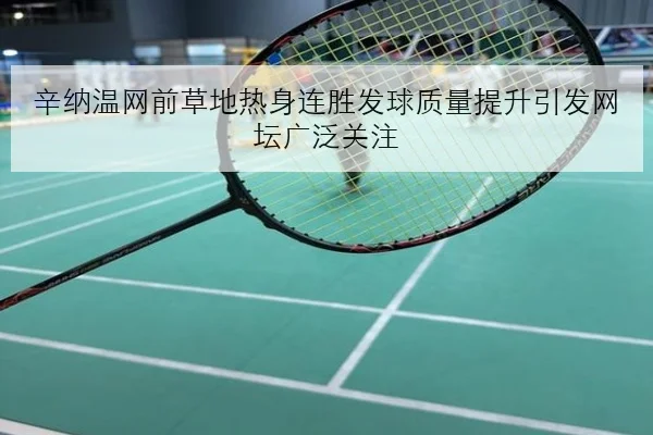 辛纳温网前草地热身连胜发球质量提升引发网坛广泛关注